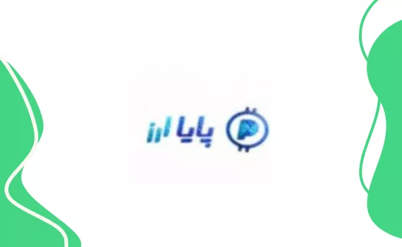 ارز دیجیتال پایا